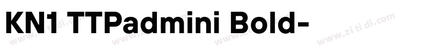 KN1 TTPadmini Bold字体转换